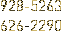 +7 (495) 928-5263, 626-2290